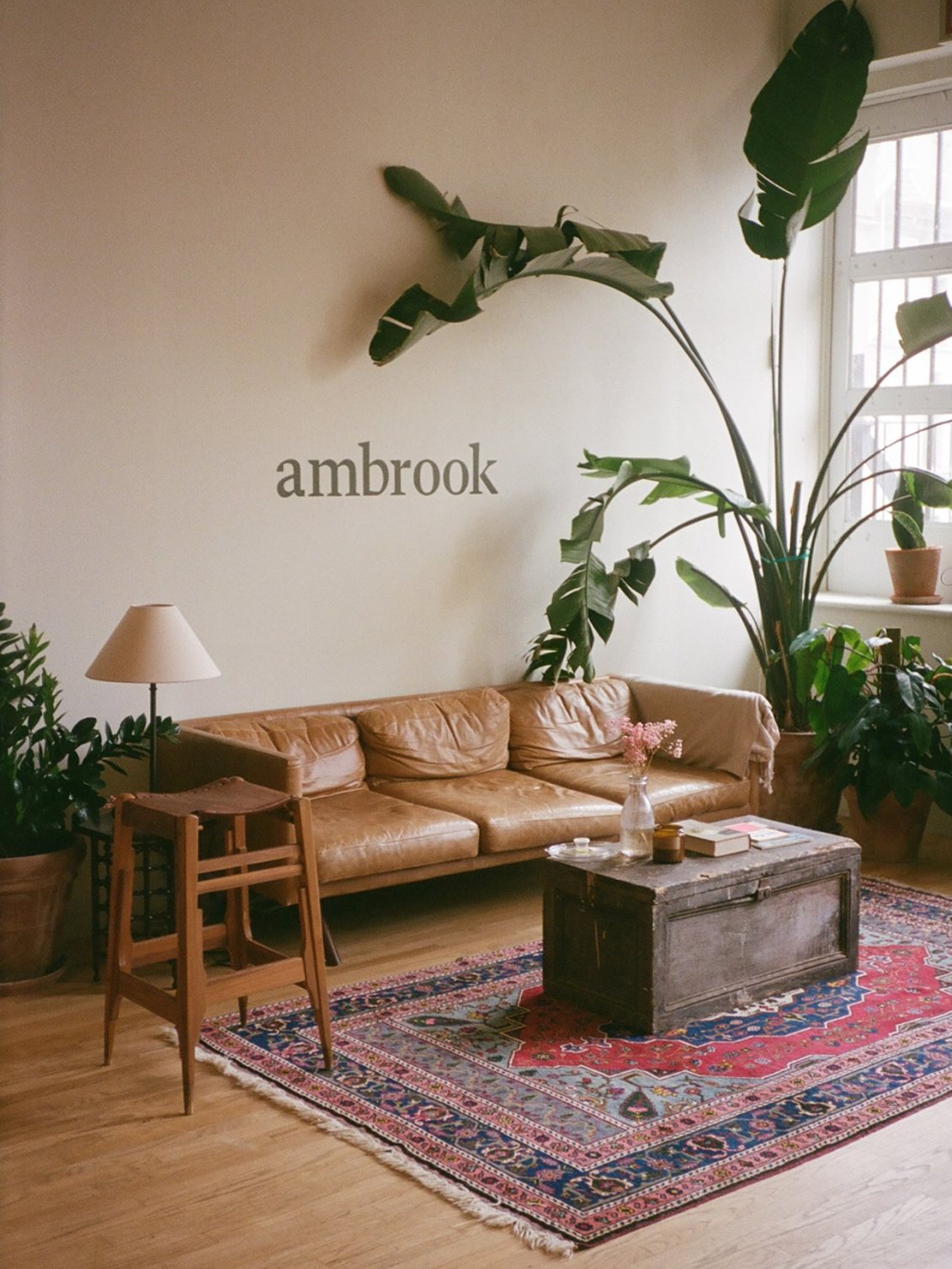 Living room with a tan leather sofa, antique trunk, Persian rug and banana plants